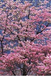 今年15款优秀动作冒险游戏 《黑神话：悟空》领衔